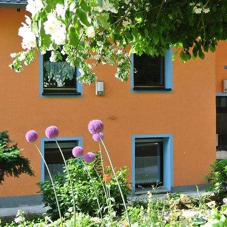Ferienwohnung Zur Muehle Sotzweiler Exterior photo